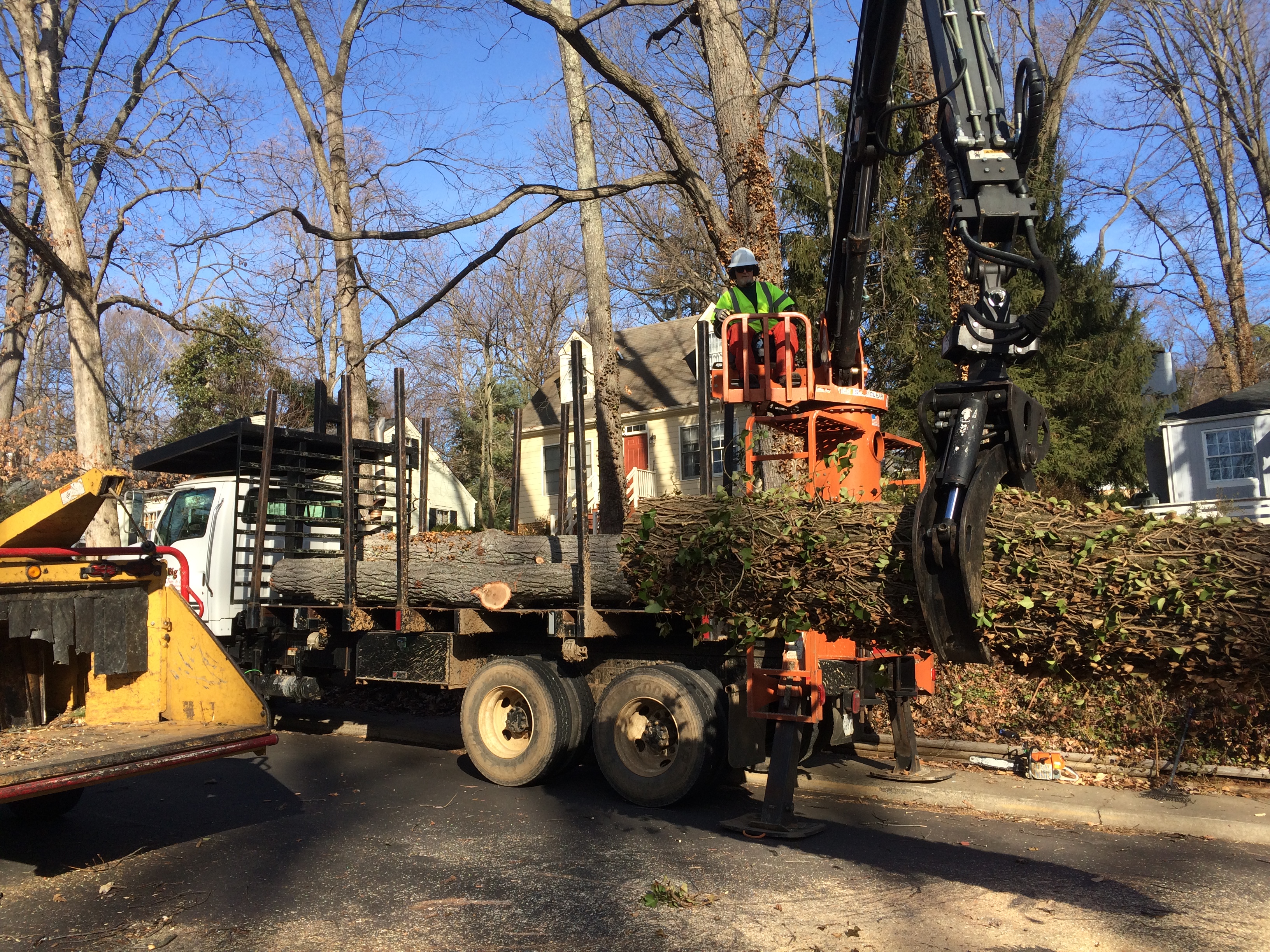 Big O staff loading large tree onto truck